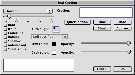 Text Caption Dialog